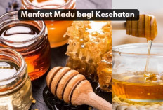 5 Manfaat Madu bagi Kesehatan yang Bikin Kamu Penasaran, Apa Saja?