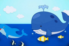 Kok Bisa, Ikan Paus dan Lumba-Lumba Termasuk Golongan 'Mamalia' Di Air? Berikut Penjelasannya! 