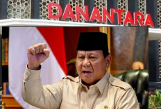 Danantara Resmi Diluncurkan Hari ini! Strategi Jitu Prabowo Subianto Mengubah Peta Investasi Indonesia