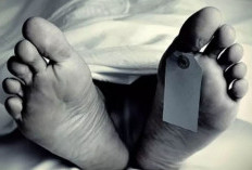 Geger! 4 Turis Jerman Tewas di Turki Akibat Keracunan Gas Insektisida Hotel