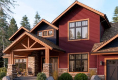 3 Rekomendasi Cat Rumah Anti Jamur dan Anti Rayap: Solusi Pintar Biar Hunian Tetap Elegan!  