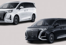 BYD Denza D9 Siap Jadi Saingan Berat Toyota Alphard, Ini Spesifikasi dan Harganya