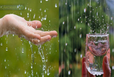 Wajib Tau! Ini 5 Manfaat Air Hujan sebagai Sumber Kehidupan Bagi Seluruh Makhluk Hidup di Bumi