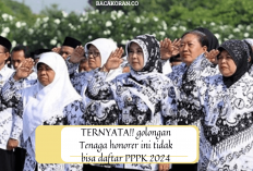  Tenaga Honorer Golongan ini Tidak Boleh Daftar PPPK 2024, Begini Penjelasanya