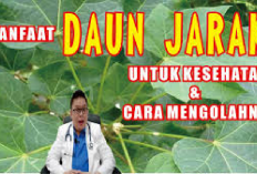 6 Manfaat Daun Jarak untuk Kesehatan yang Jarang Diketahui, Salah Satunya Menurunkan Demam Lho...