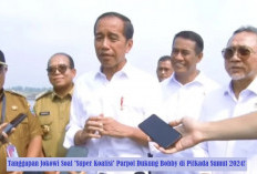 Bobby Panen Dukungan Parpol 'Super Koalisi' di Pilkada Sumut 2024, Jokowi Bilang Begini!