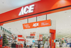 Bye! ACE Hardware Pamit dari Indonesia Usai 29 Tahun Beroperasi, Ini Biang Keroknya!