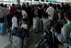 Dampak PDN Error, Ribuan Paspor Tak Selesai, Diaspora Ketar Ketir di Luar Negeri
