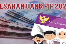 Bansos PIP 2024 Tahap Kedua Untuk Siswa SD, SMP, dan SMA: Kini Sudah Dapat DIcairkan, Simak Caranya di Sini...