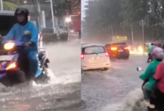 Jakarta Dikepung Banjir Usai Diguyur Hujan Deras: Warga Panik, Jalan Lumpuh!