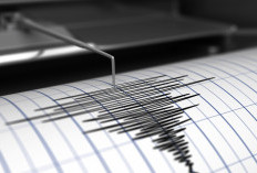 Gempa Magnitudo 5,3 Guncang Papua Pagi Ini, Potensi Tsunami? Simak Peringatan BMKG!