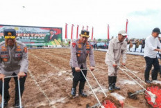 Mengapa Polisi Ikut Urus Gizi dan Pangan? Fakta UU Polri Baru yang Baru Disahkan Pemerintah
