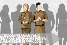 Inilah 3 Kategori Pelamar yang Ditetapkan Menpan RB Punya Peluang Besar di PPPK 2024