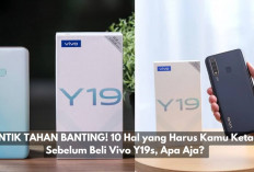 CANTIK TAHAN BANTING! 10 Hal yang Harus Kamu Ketahui Sebelum Beli Vivo Y19s, Apa Aja? 