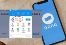 Limit Aman Tapi Tetap Gagal, Kenapa DANA Cicil Tidak Bisa Digunakan? Ini Penjelasan Lengkapnya