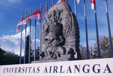 53 List Kuota Daya Tampung SNBP Universitas Airlangga Berdasarkan Program Studi Favorit, Burus