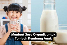 5 Manfaat Susu Organik untuk Tumbuh Kembang Anak yang Wajib Moms Tahu, Yuk Cek di Sini!