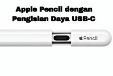 Apple Pencil Debut dengan Pengisian Daya USB-C, ini Fitur Dan Spesifikasinya