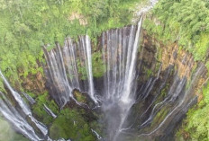 Biang Kerok Pungli Bikin Tumpak Sewu Sepi, Ini Kesepakatan Baru Pemerintah Jamin Harga Tiket Terjangkau