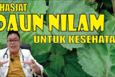 3 Manfaat Tanaman Nilam untuk Kesehatan dan Kecantikan, Bunda Wajib Cobain Jamin Bikin Ayah Klepek-Klepek!