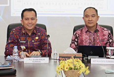 Kepala BPS Sumsel: Februari 2024 Sumatera Selatan Mencatat Inflasi Rendah 