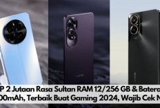 8 HP 2 Jutaan Rasa Sultan RAM 12/256 GB & Baterai 6000mAh, Terbaik Buat Gaming di Agustus 2024, Wajib Cek Nih!