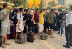 Melonjak, 2.493 WNI Minta Dipulangkan dari Kamboja Setelah Online Scam Dibasmi!