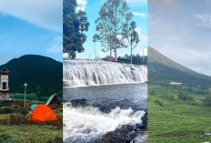 Liburan Seru ke Pagar Alam: Jelajahi Kebun Raya Dempo, Tanjung Sakti, dan Bukit Tungguan Bikin Fresh Banget!