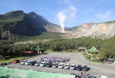 Gas bro! Wisata di Gunung Papandayan yang Hype abis, Berikut Harga Tiket, dan Daftar Objek Wisatanya...