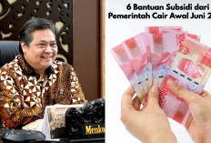 6 Bantuan Subsidi dari Pemerintah yang Cair Awal Juni 2025, Ada Diskon Tarif Listrik dan Pencairan BSU