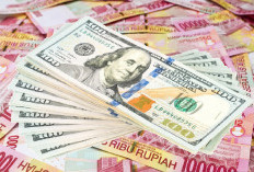 Gegara Trump-Powell, Dolar AS Tersungkur Dihajar Rupiah, Melesat ke Rp 16.250!