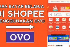 Terbaru, 9 Cara Bayar Belanja Shopee Cuma Pakai OVO, Tanpa Admin dan Gratis Ongkir!