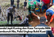 Kunci Terbuka! Sandal Jepit Kuning dan Kaos Ternyata Milik Pembunuh Nia, Polisi Ungkap Bukti Kuat