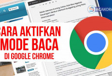 Aktifkan Mode Baca di Google Chrome, Bagaimana caranya ?