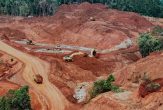 Raja Ampat Terancam! Kementerian Kehutanan Siap Hukum Perusahaan Tambang Nakal