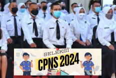 Info Penting! Ini Bobot Nilai SKB dalam CPNS 2024 Agar Lolos Seleksi, Cari Tau Disini Gaes