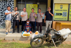 Petani di Ogan Ilir Curi 700 Kg Jeruk, Hasilnya Dipakai Main Judol