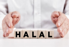 Kaget! 5 Hal yang Dianggap Haram Selama ini Ternyata Halal dalam Islam, Apa Aja?