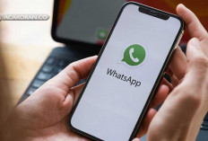 Hati-hati Bisa Lenyap Akunmu? 5 Cara Menggunakan WhatsApp Tanpa Nomor Telepon