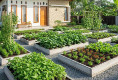 3 Desain Kebun Buah Mini Panen 3 Bulan: Solusi Produktif untuk Lahan Sempit! 