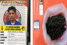 Terjaring Razia, Nelayan Ini Mengaku Hisap Ganja agar Tidak Mabuk Saat Melaut, Gak Salah Tuh?