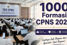 CPNS 2026 Jawa Tengah Usulkan 1.000 Formasi! Dokter Spesialis,Perawat Jadi Prioritas,Ini Penjelasan Lengkapnya
