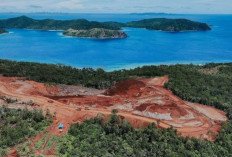 Pemerintah Jamin Solusi untuk Masalah Tambang Nikel di Raja Ampat, Apa yang Akan Terjadi?