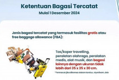 Penting ini Aturan Baru Bagasi Wings Air di Desember 2024, Ketahui Yuk Agar Terhindar dari Biaya Tambahan