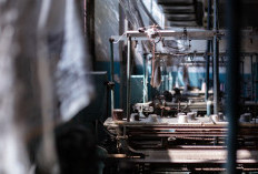 Pabrik Tekstil Banyak Tutup dan PHK Karyawan, BPS Catat Ekspor Malah Meningkat, Kok Bisa?