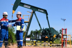 Buruan Lamar, Pertamina Buka Lowongan Kerja April 2026 di Berbagai Posisi, SMA sampai Sarjana Bisa! 