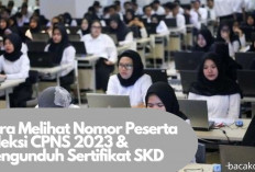 Calon ASN Harus Paham! Begini Cara Mengunduh Sertifikat SKD Tapi Lupa Nomor Peserta Seleksi CPNS 2023