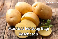 5 Manfaat Kentang Bagi Kesehatan, Salah Satunya Dapat Membantu Meningkatkan Imun Tubuh, Cek Infonya!