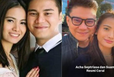 Acha Septriasa Resmi Cerai dari Vicky Kharisma, Ini Alasan di Baliknya