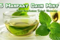 5 Manfaat Daun Mint Bagi Kesehatan Tubuh yang Jarang Diketahui, Salah Satunya Bagus untuk Diet Lho...